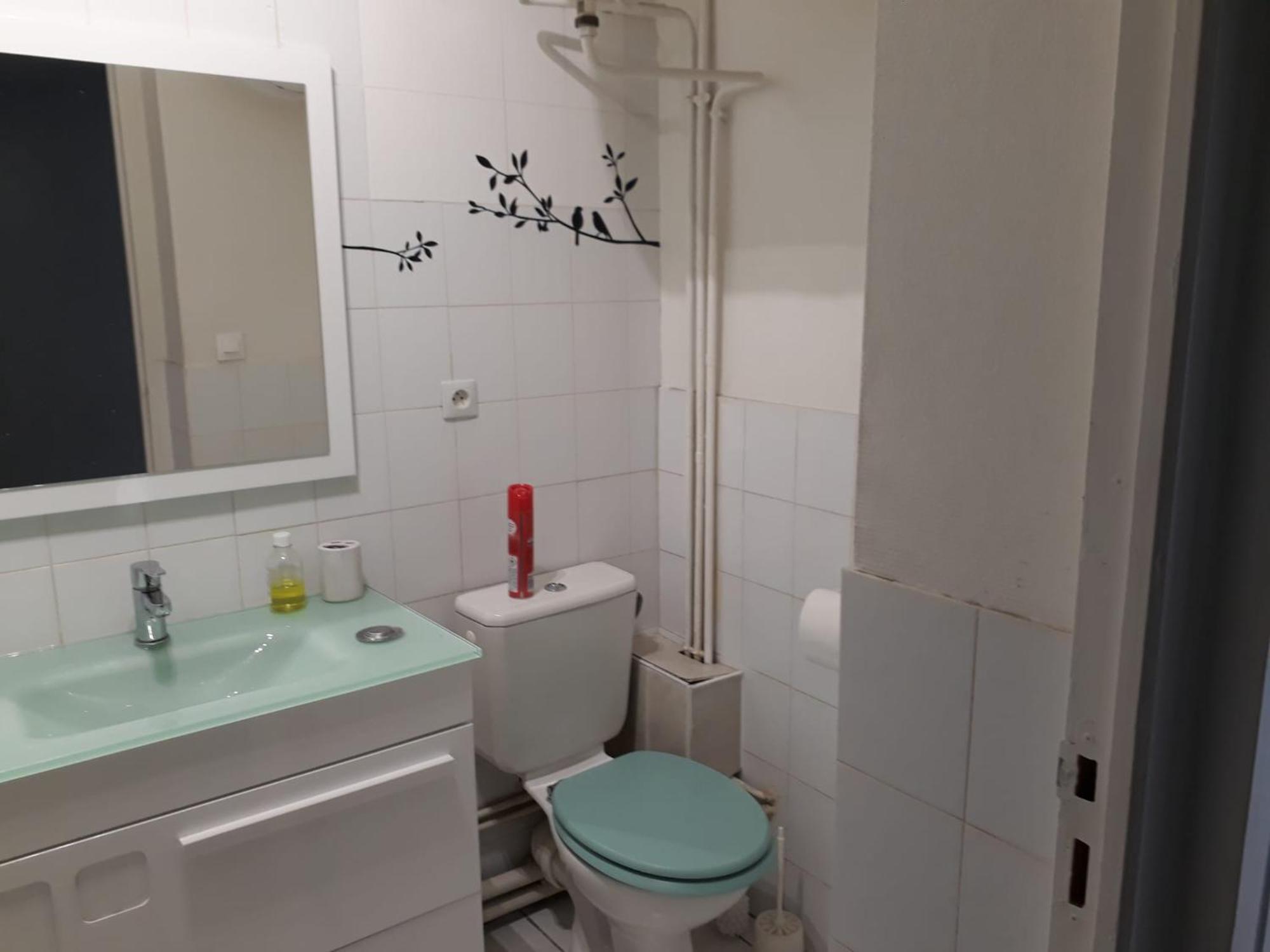 Appartement Lyon 7 Gerland エクステリア 写真